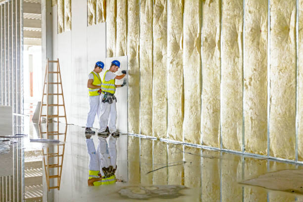 Best Eco-Friendly Insulation in Triangle, VA